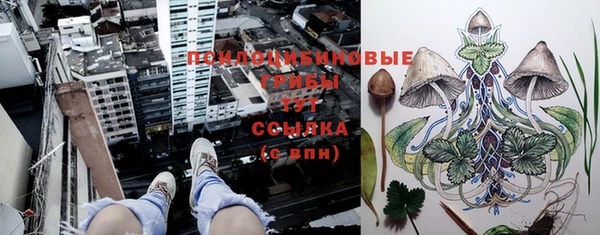 шишки Майский