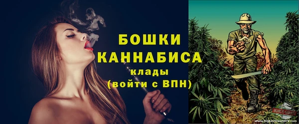 шишки Майский