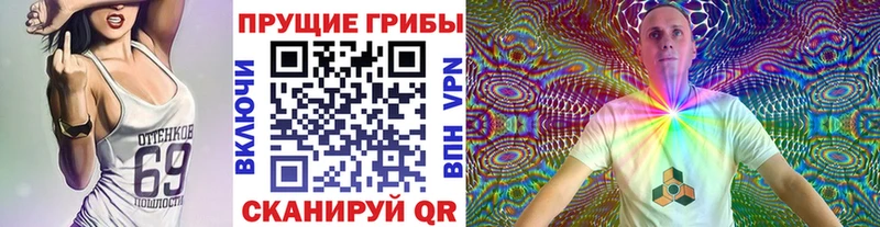 Псилоцибиновые грибы Cubensis где найти наркотики Николаевск-на-Амуре